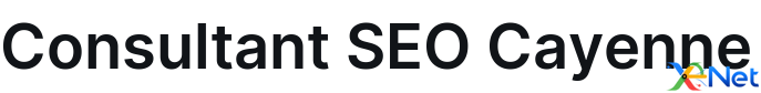 Consultant SEO Cayenne